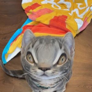 Meet your Posher, Grace